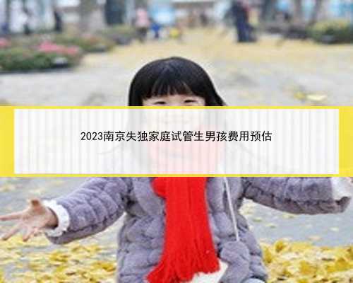 2023南京失独家庭试管生男孩费用预估